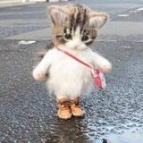 $BOOTS