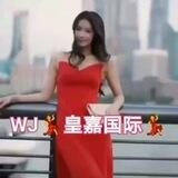WJ 💃皇嘉国际💃全国外围 高端约炮平台
