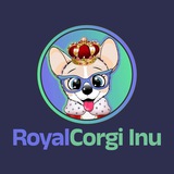 Royal Corgi Inu News
