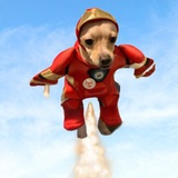 tony bark
