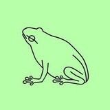 FROGGY CTO