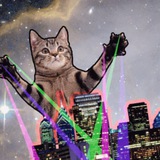 $CATZILLA