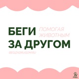 Беги за другом