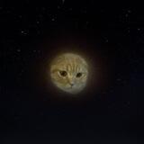 $Moon Verification