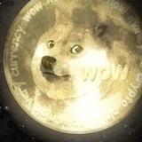 DOGE-1