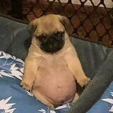 $TUBBY | PORTAL