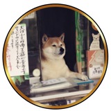 $SHISAN 看板犬 | Portal