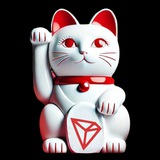 MANEKI ON TRON CTO