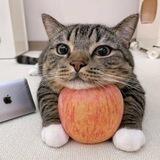 Apple portal