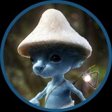 Шайлушай Smurf Cat