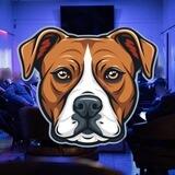 G - Andrew Tate Dog