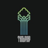 Tamyrlar.kazan
