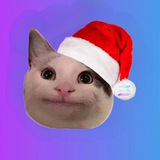 CATMASCTO