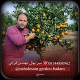 سبز نهال فرخی