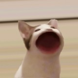 $POPCAT Official Group