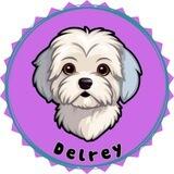 Delrey Token