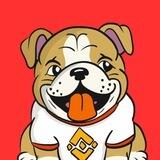 Binance's Dog - $BIGGIE