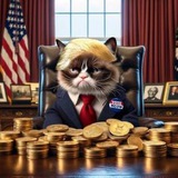 Trumpy Cat - CTO - Portal