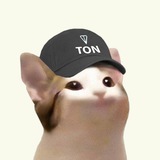 POPCAT on TON