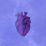 КардиоКладовка 🤍