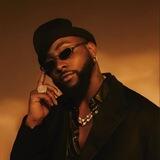 $Davido Portal