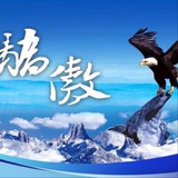 《豪门国际旺财28》国际集团