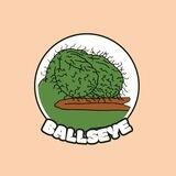 $BALLS - BallsEye by Matt Furie - Portal