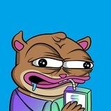 Sul The Squirel