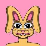 FLOPPY BSC 🐰