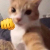 𝗦𝘁𝗼𝗿𝗲 𝗟𝗶𝗻𝗱𝗮