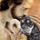 "Union of Animal Shelters and Volunteers of Georgia"