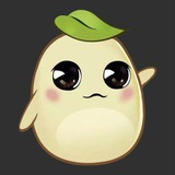 毛豆直装