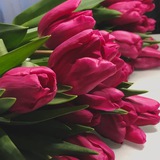 🌷ТЮЛЬПАНЫ К 8 МАРТА🌷