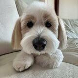 WALLY CTO PORTAL