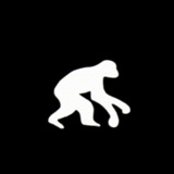 Homo Memetus