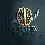 IQ forex signal