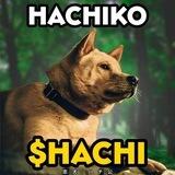 Hachiko Portal