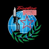 БОЕВОЕ БРАТСТВО Амурской области