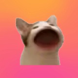 Озвучкер HolyGuaca