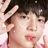 format pfp bds