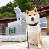 ISHI portal