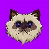 Mr. Miggles | SOL