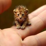 $leo - OFFICIAL MASCOT OF SOLANA