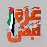 نبض غزة