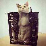 Abercrombie