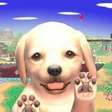 Nintendogs