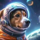 TON DOG PPP