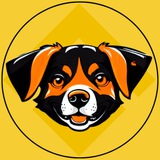 BARK COIN BSC // 3% MAX WALLET GLOBAL CHAT 1YEAR LOCK LP