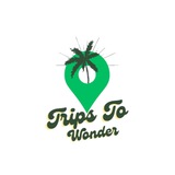 Trips To Wonder Coin