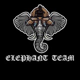 ELEPHANT TEAM 🐘